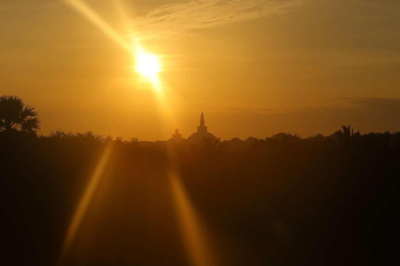 Monaara Resort - Anuradhapura Bagian luar foto