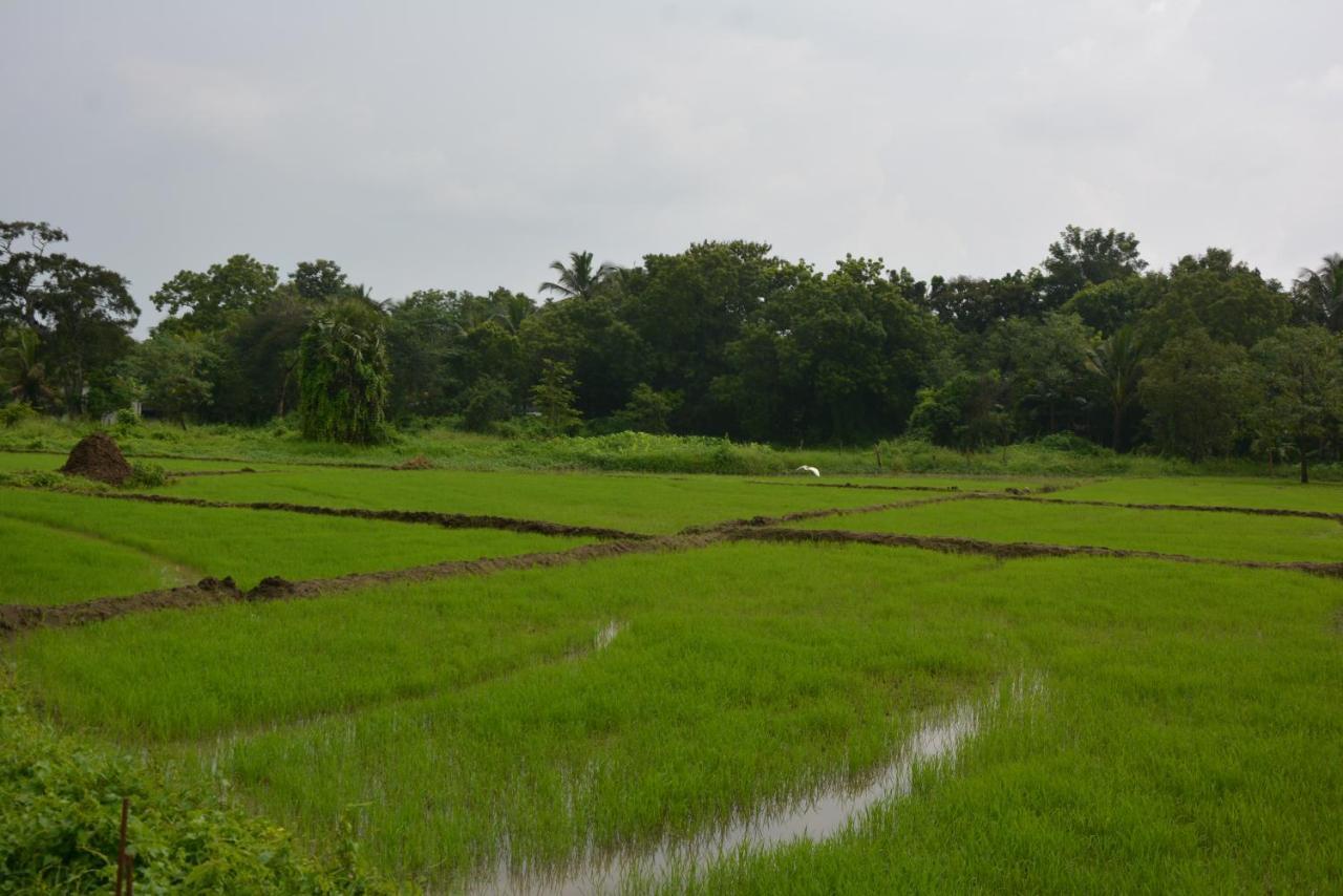 Monaara Resort - Anuradhapura Bagian luar foto